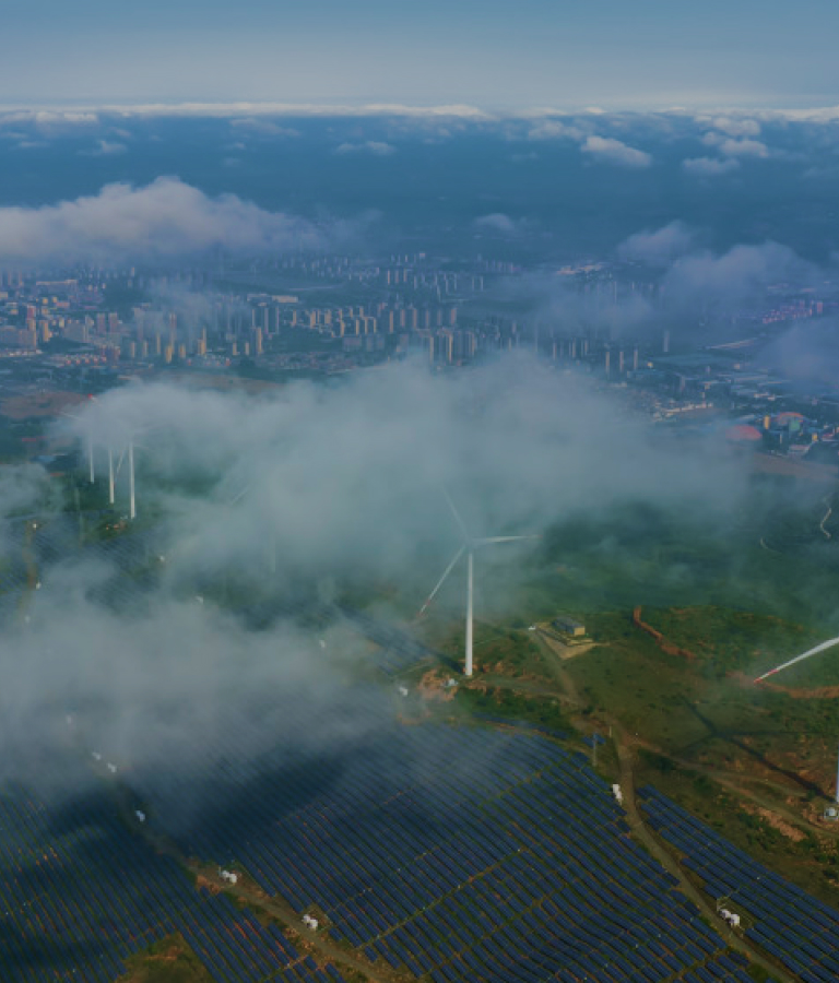 w66(中国区)最老牌官方网站