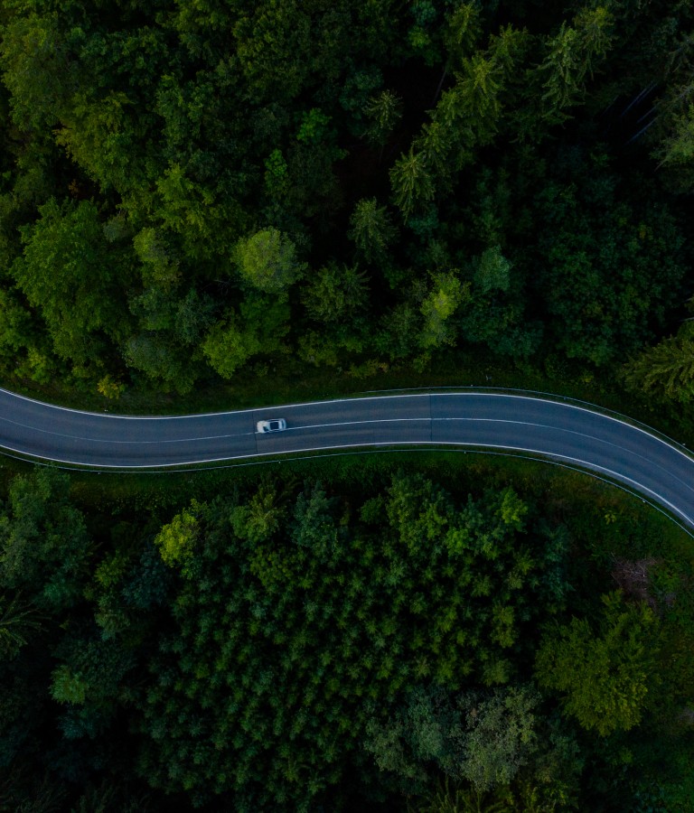 w66(中国区)最老牌官方网站